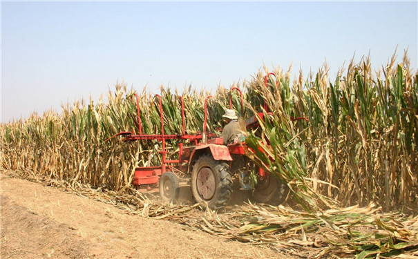 生物質(zhì)顆粒機設(shè)備成型燃料研究現(xiàn)狀及進展 生物質(zhì)顆粒機設(shè)備成型燃料研究現(xiàn)狀及進展