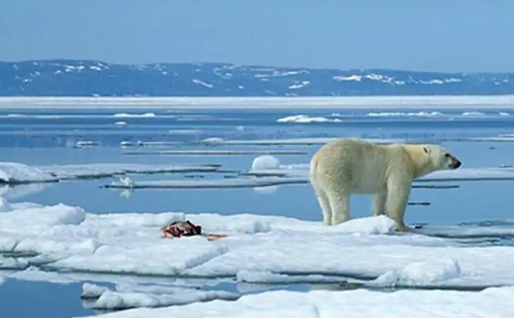 今年夏天阿爾卑斯山創(chuàng)紀(jì)錄的高溫導(dǎo)致瑞士冰川大面積融化 今年夏天阿爾卑斯山創(chuàng)紀(jì)錄的高溫導(dǎo)致瑞士冰川大面積融化