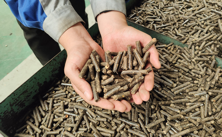 木屑顆粒機(jī)加工的顆粒燃料 木屑顆粒機(jī)加工的顆粒燃料