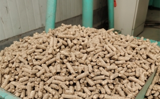 在燃燒時，水分大的生物質顆粒會出現(xiàn)哪些問題？