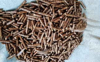 鋸末顆粒機的生物質(zhì)顆粒除了代替原煤，還能用在這！