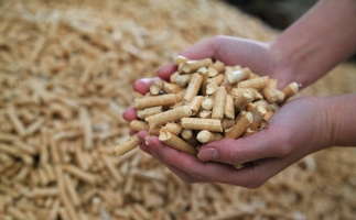 為什么越來越多人選鋸末顆粒機(jī)的生物質(zhì)顆粒取暖？