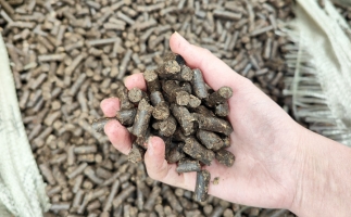 木屑顆粒機(jī)將秸稈變廢為寶，降碳節(jié)能一舉兩得